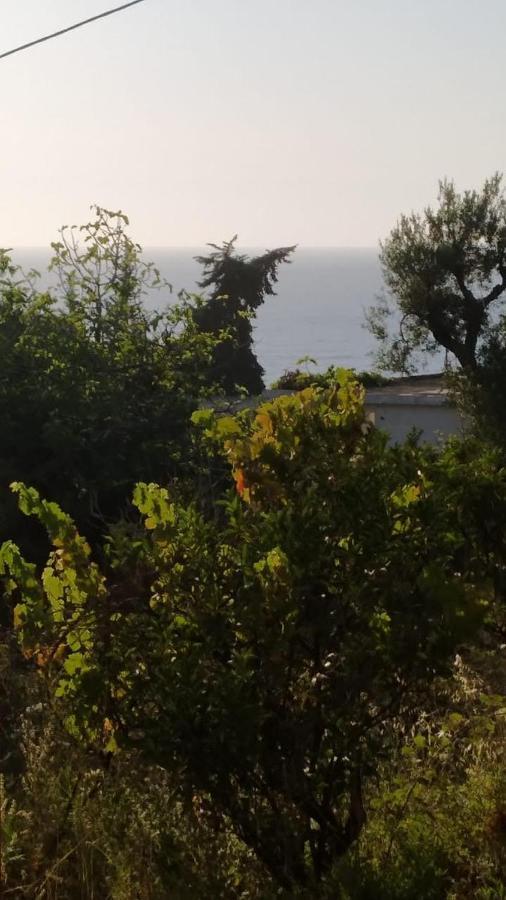 Mullaj Guest House Avlonya Dış mekan fotoğraf